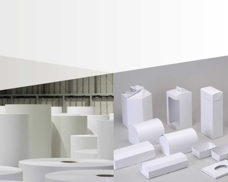 事業・製品 白板紙