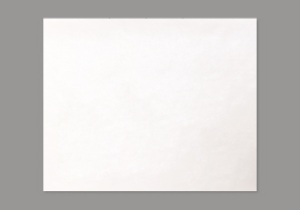 OKブリザード(片艶晒)